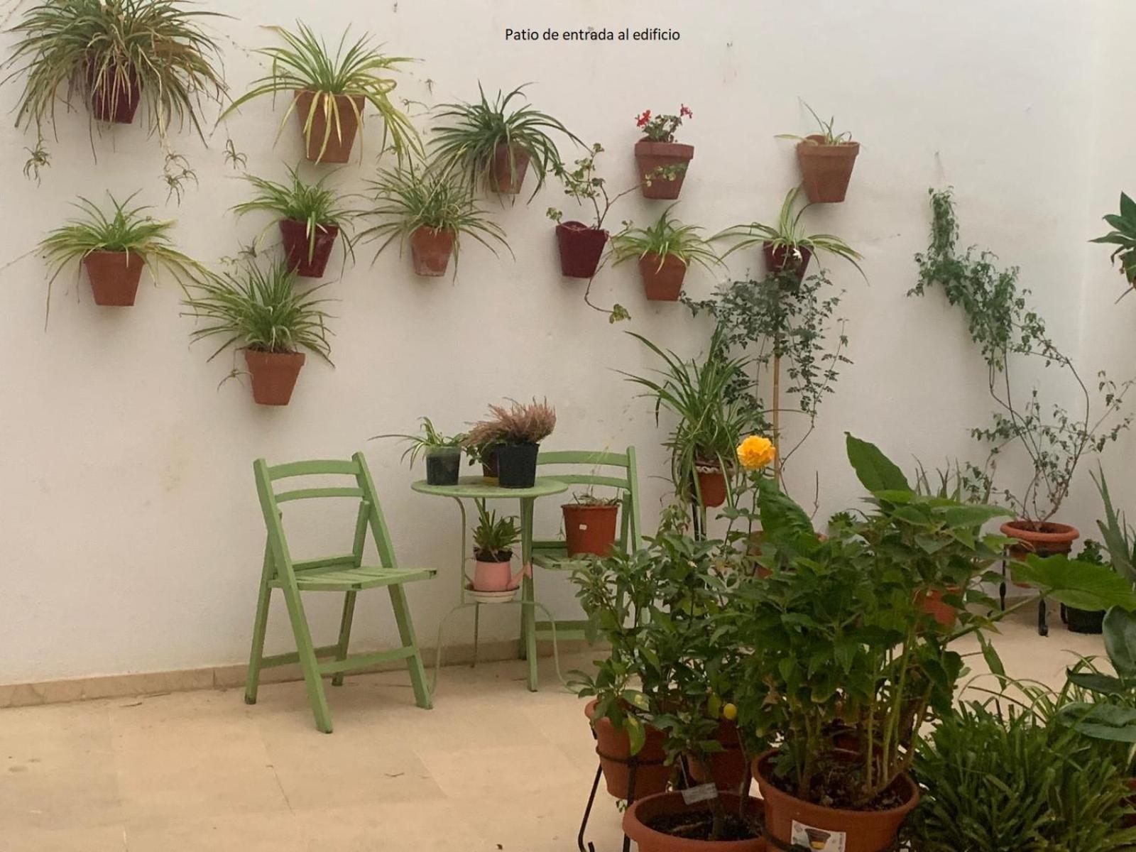Casa Yaye Puerta Palma Διαμέρισμα Écija Εξωτερικό φωτογραφία